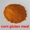 SELL Corn Gluten Meal 